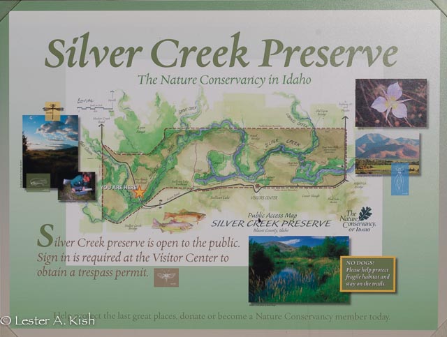 Silver Creek Interlude