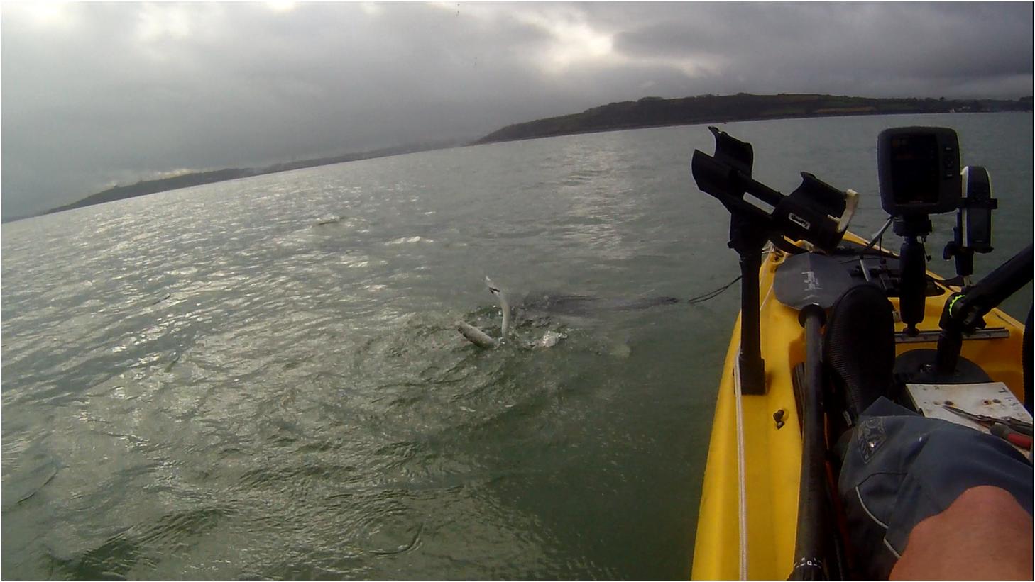 Cornish Shore and Kayak Fisherman Kayak Fishing How to Catch Herring