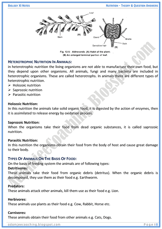 nutrition-descriptive-question-answers-biology-11th
