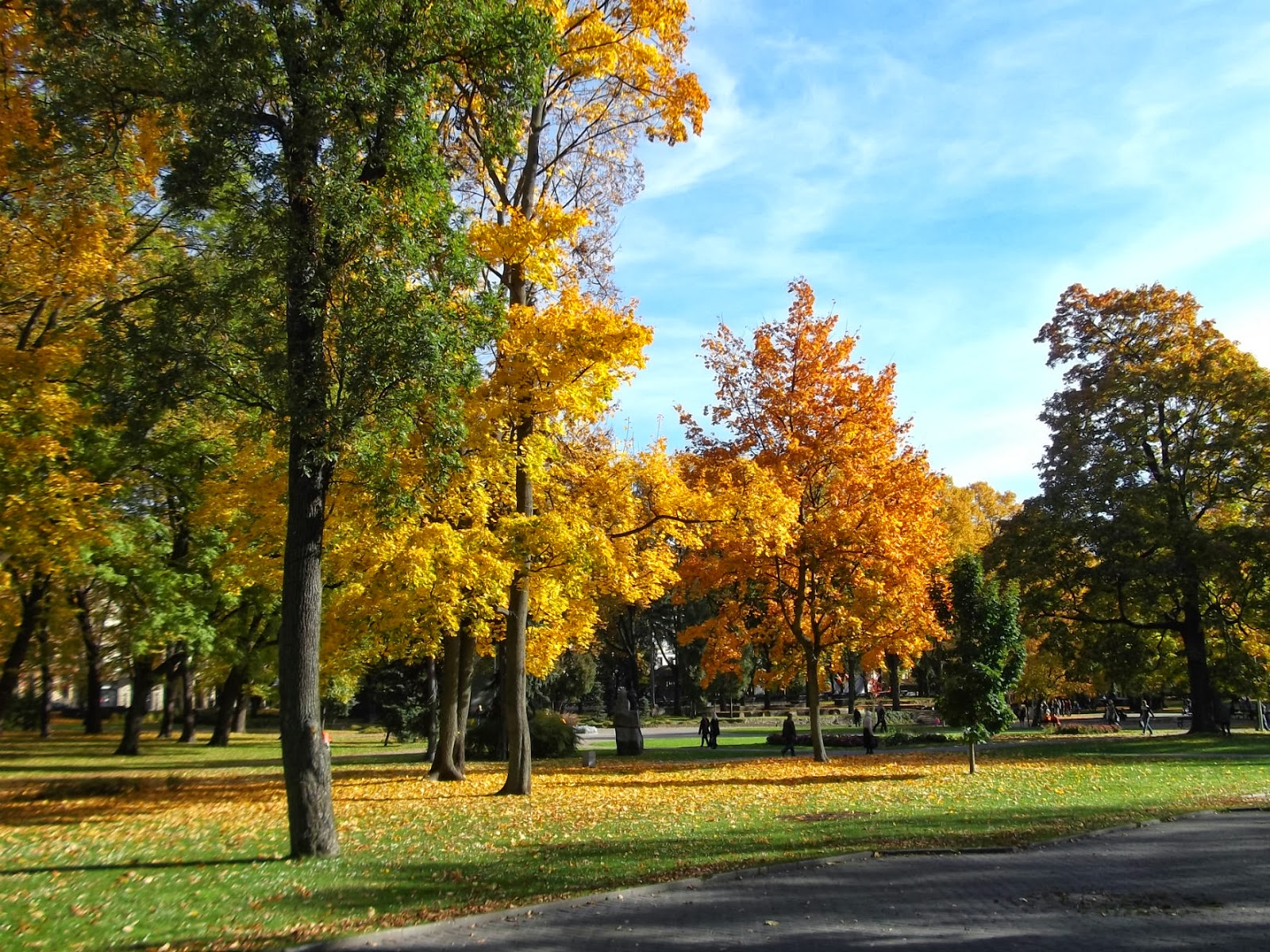 осенние скидки 30. осенняя улица крылатское. парк победы осень вологда. московский парк победы осенью. ул.