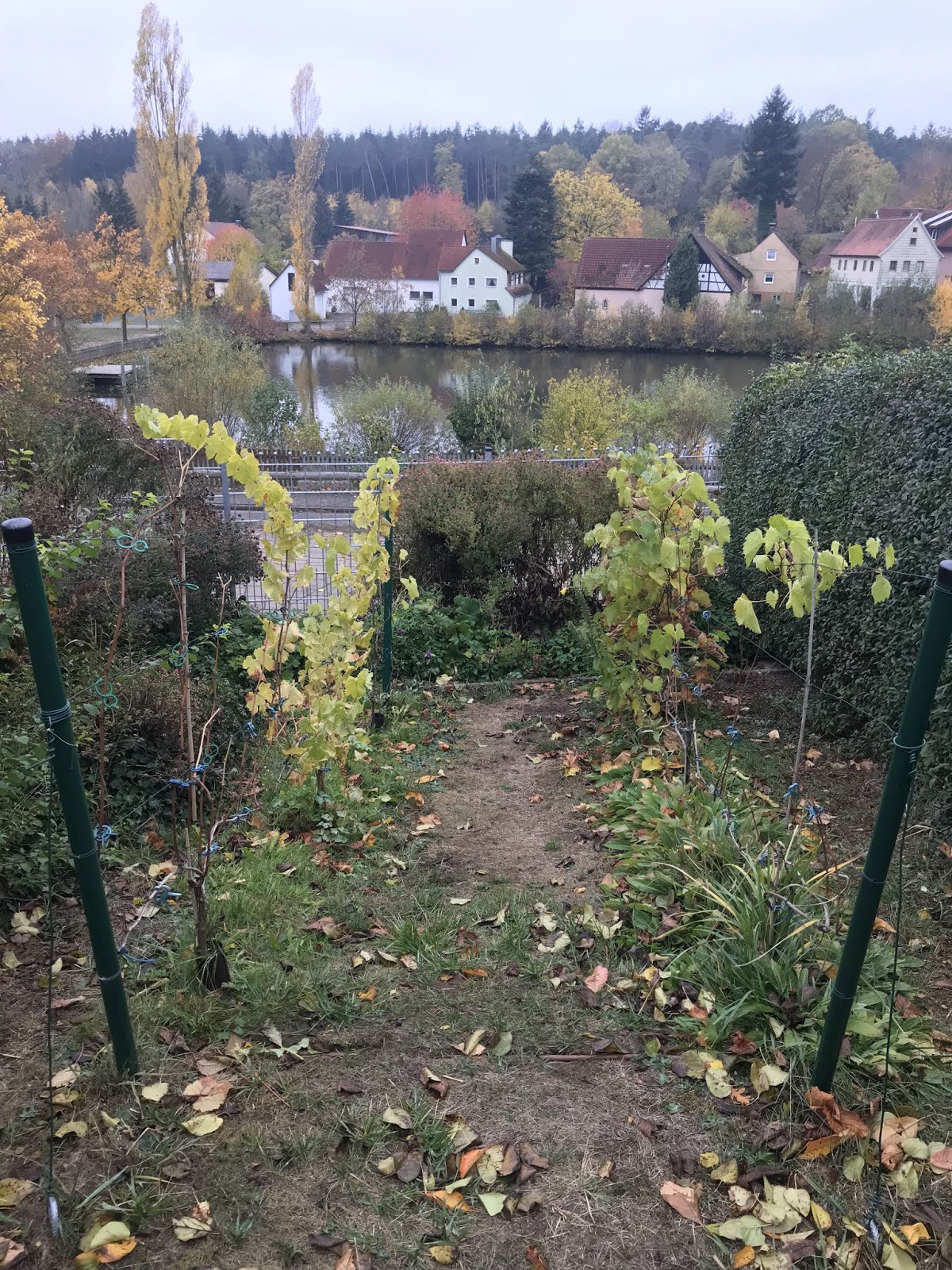 Vom Begrabenen Sonnenhirsch Nachtlichen Wilden Geistern Und