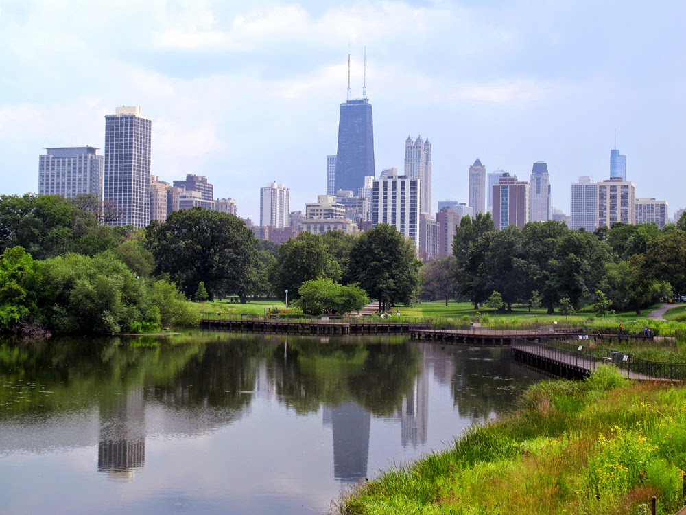 the skyline view from Chicago zoo