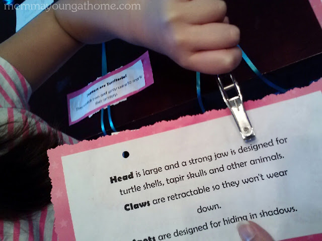 How to Make a Hanger Mobile Book Report
