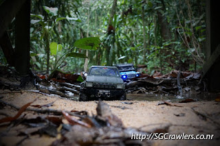 [PHOTOS] 20160424 - Rifle Range Road - Durian Loop Trail Photos DSC02861