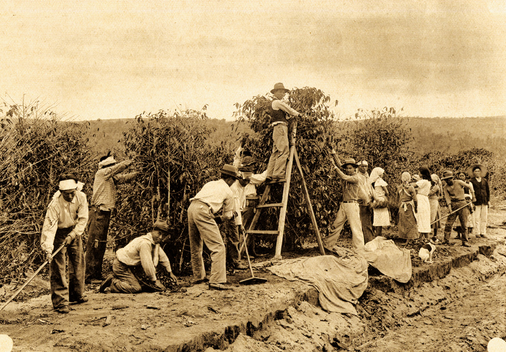 Historia Do Trabalho No Brasil - NAZAEDU