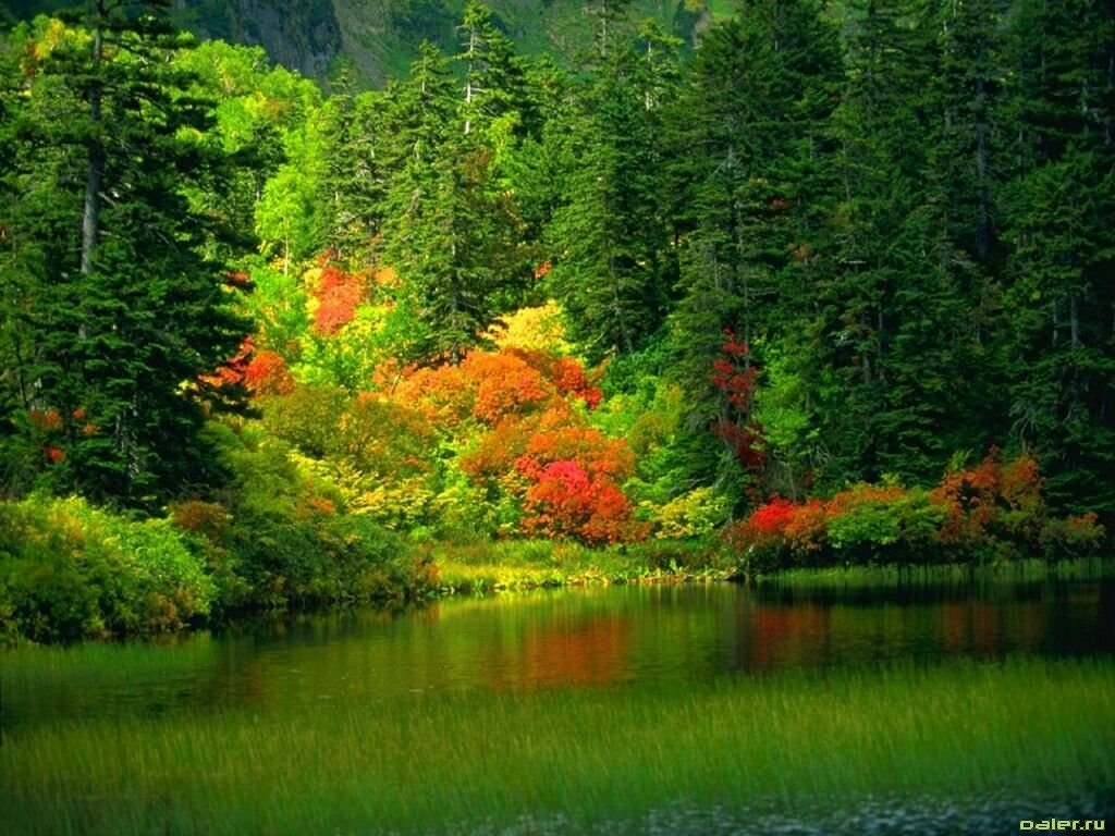 Pemandangan Cantik Foto Dunia Alam Semesta INDONESIA Pemandangan Cantik Foto Dunia Alam Semesta INDONESIA