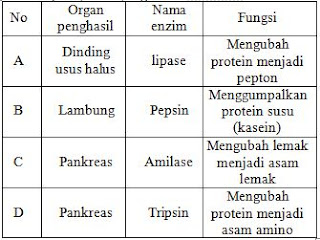 √ Latihan Soal dan Kunci Jawaban OSN IPA SMP 2020 (+Pdf)