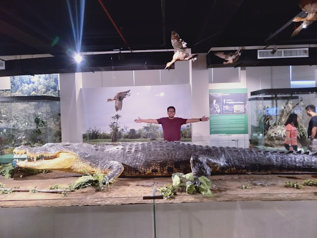 Lolong and the blogger for scale