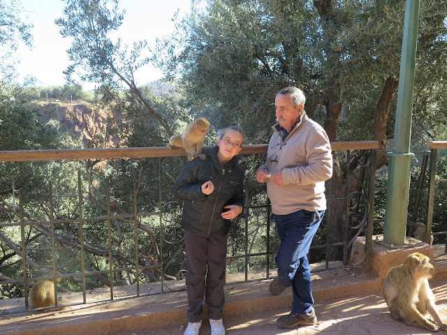 Macarena y su abuelo dando de comer a los monos en las Cascadas de Ouzoud
