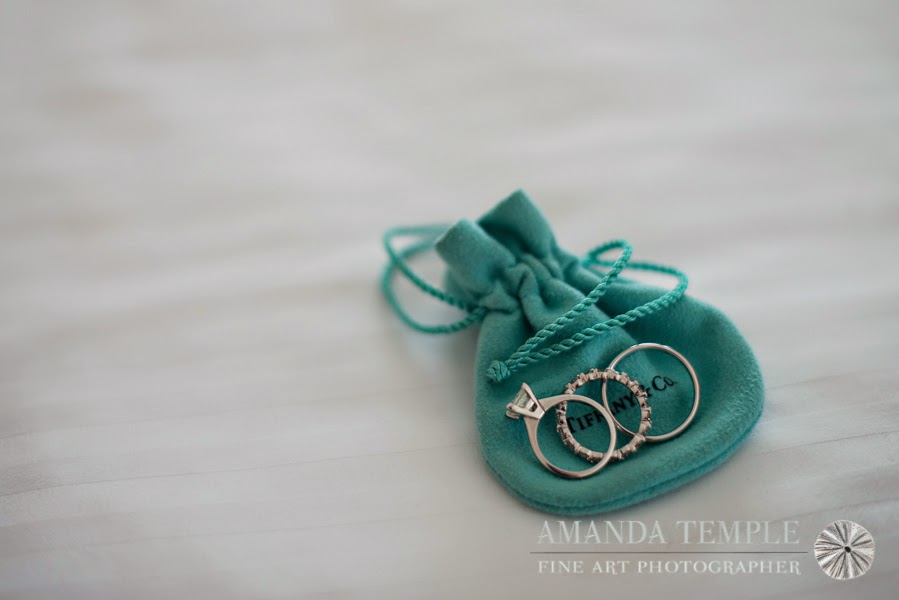 Bermuda Photographer - Amanda Temple: Annie & Brian: Bermuda Wedding