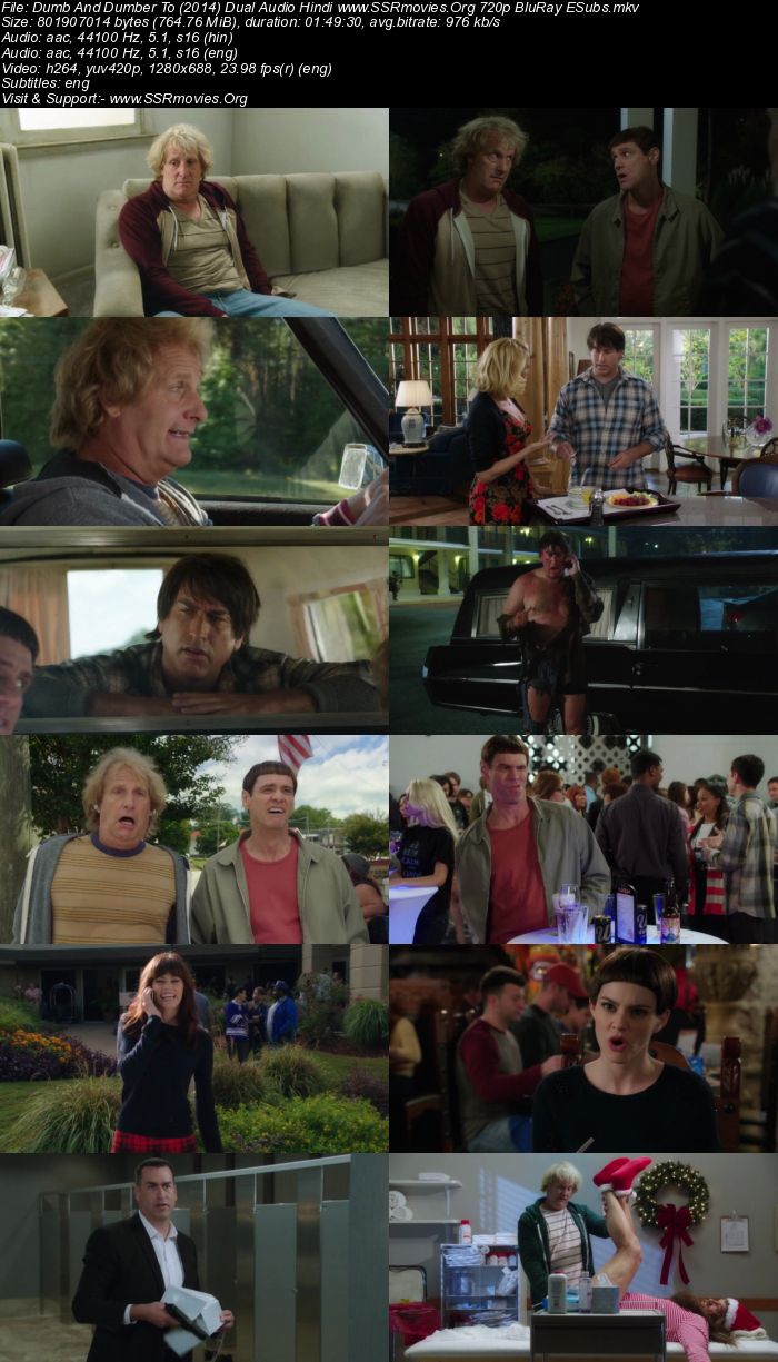 Dumb And Dumber To (2014) Dual Audio Hindi 720p BluRay