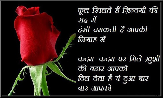 Funny New Year Shayari in Hindi Funny New Year Shayari in Hindi