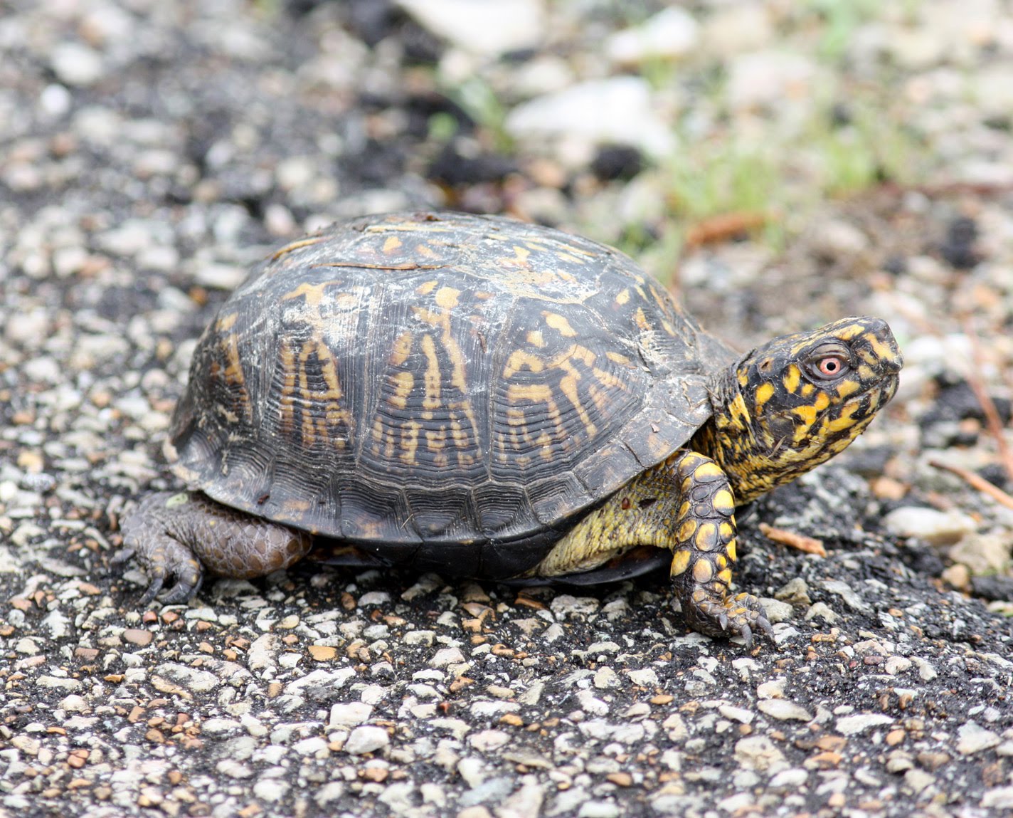 Mark & Teri's Travels Natchez Trace State Park, Tennessee