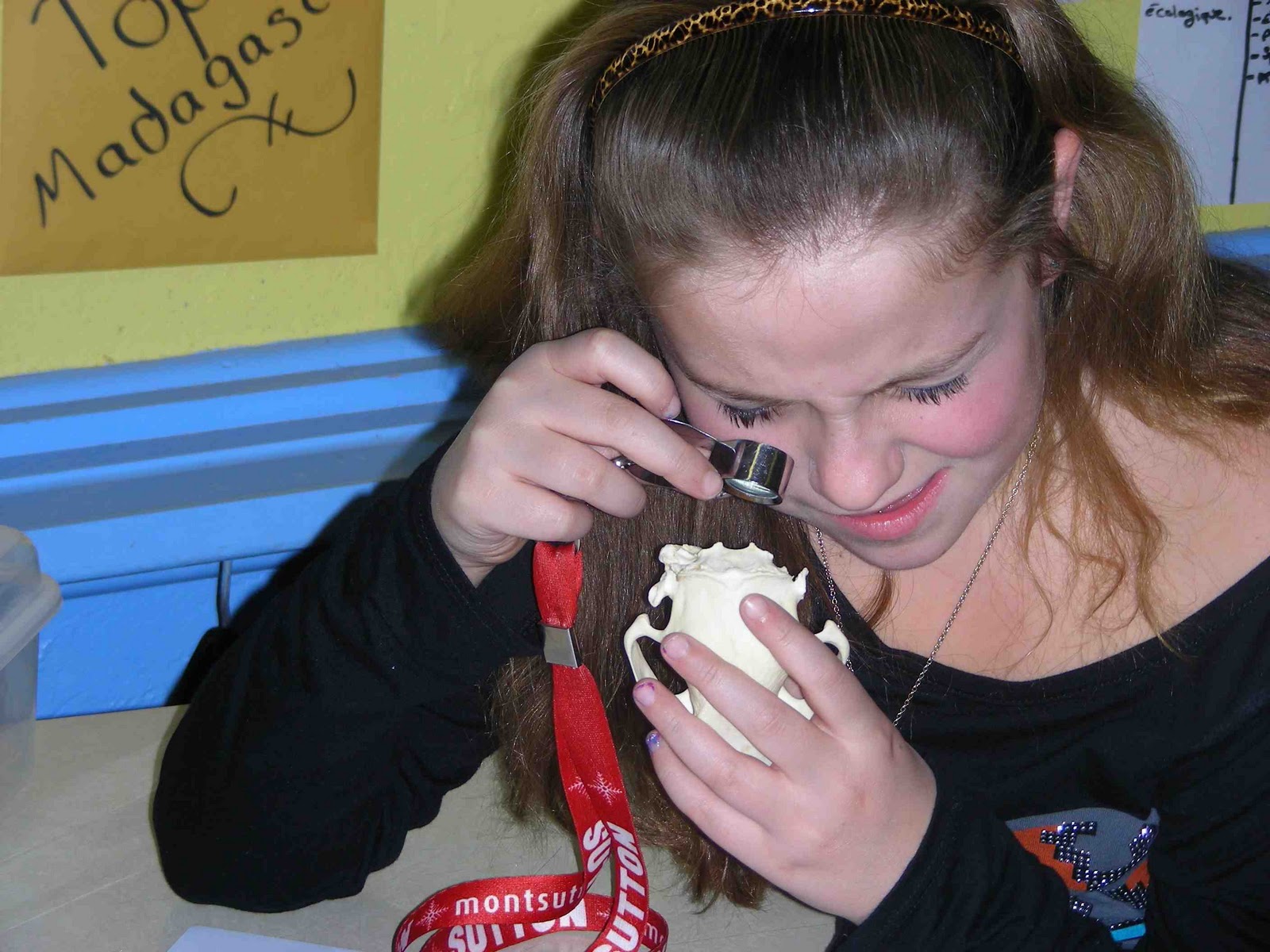 Branchés sur la faune Connected to wildlife StÉdouard, Lac Brome
