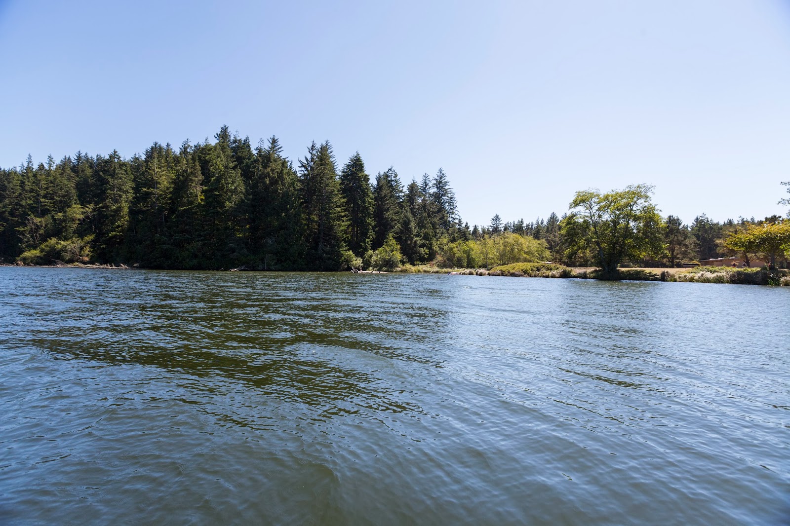 Naturetastic Blog Oregon Dunes National Recreation Area, Umpqua River