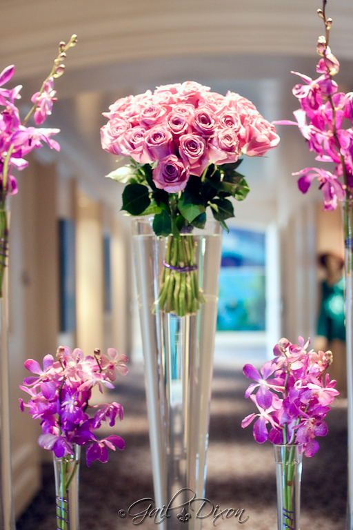 Louisiana Belle Flowers and Insects of Dana Point