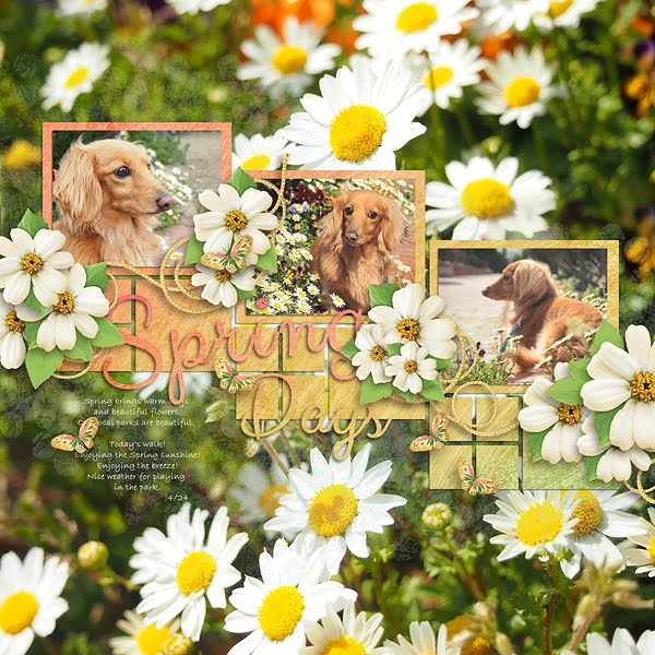 Spring Days Spring Days