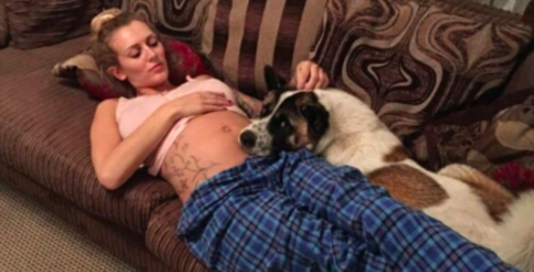 A Pregnant Woman Does Not Understand Why Her Dog Does Not Stop Barking
