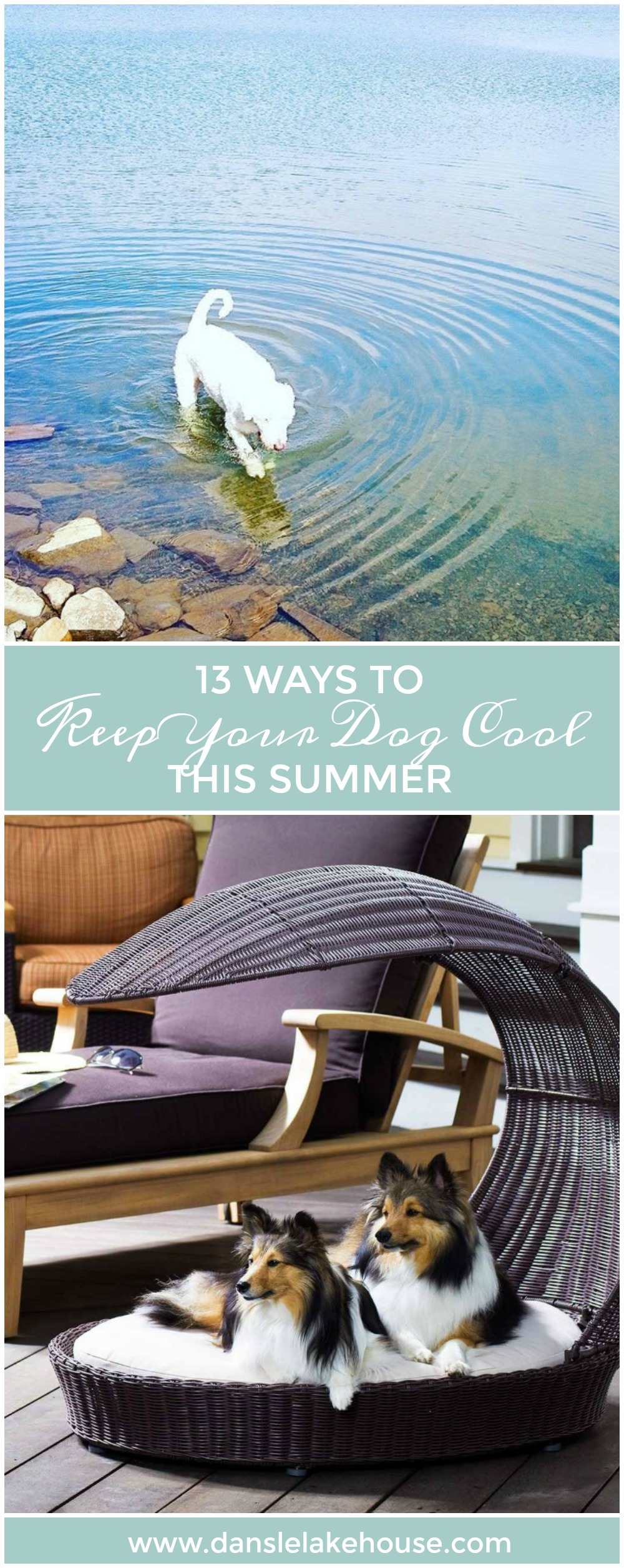 13 Easy Ways to Keep Your Dog Cool This Summer Dans le Lakehouse