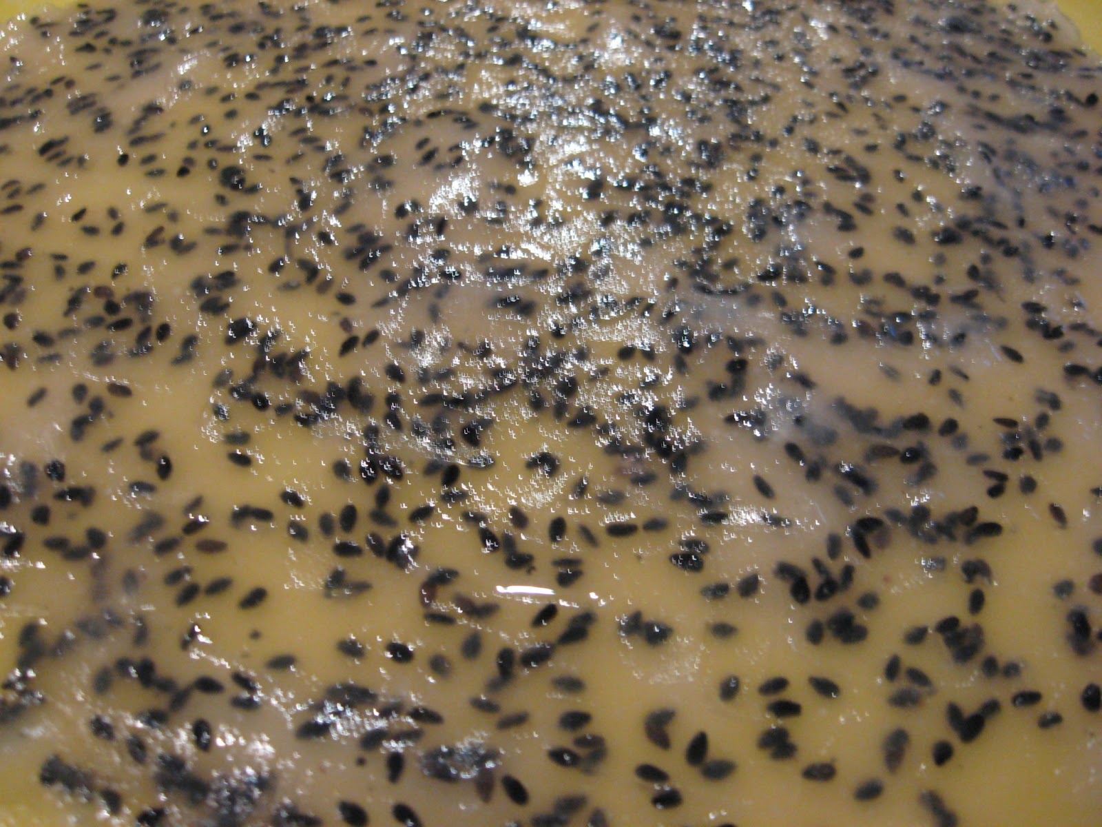 Anthea's eats black sesame rice paper