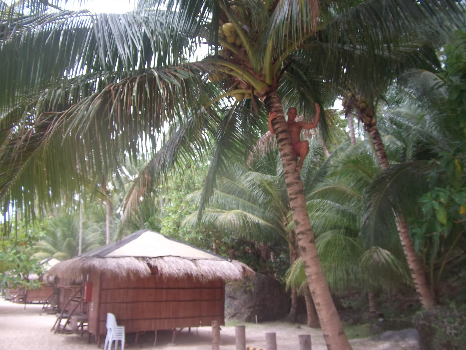 С каяк и палатка сред природата. - Kayamping - (Kayaking and Camping