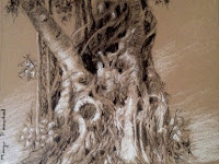 Original charcoal and white pastel pencil sketching of tree trunk by Manju Panchal