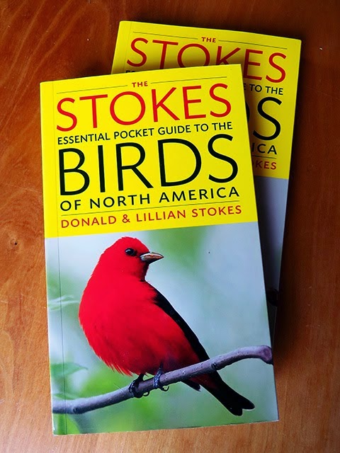 Stokes Essential Pocket Guide to Birds, click on book to BUY NOW!