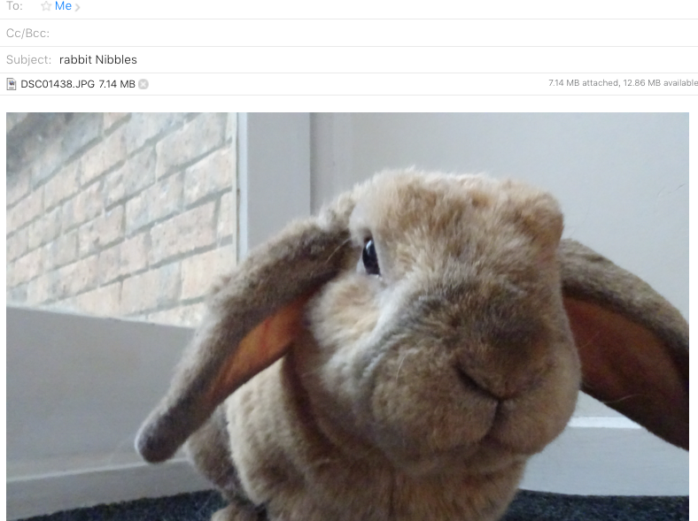 Rabbit Nibbles What I Do To Take My Instagram Photos Of Rabbitnibbles