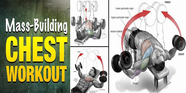 Best chest workout Routine For Mass - Exercise in 1 a Week