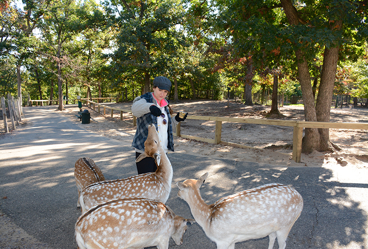 Wisconsin Deer Park, Wisconsin Dells | My Darling Days Wisconsin Deer Park, Wisconsin Dells | My Darling Days
