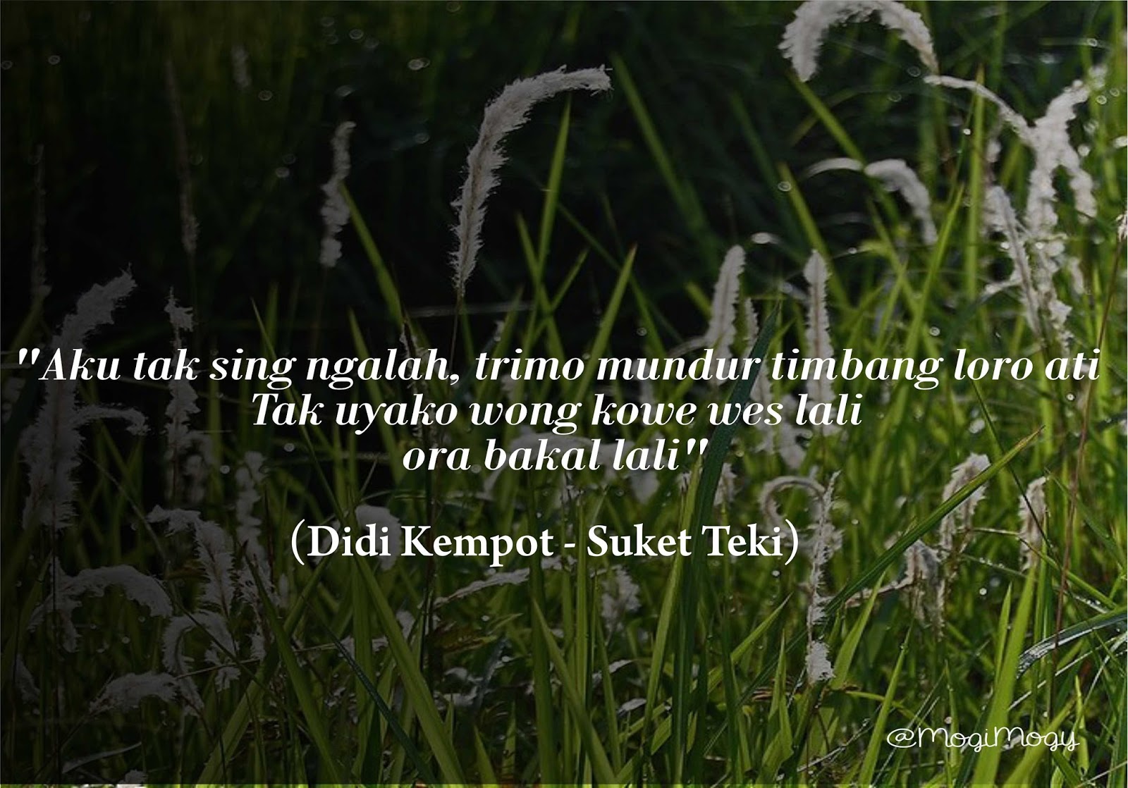 Lirik Lagu Aku Tak Sing Ngalah Trimo Mundur Timbang Loro Ati