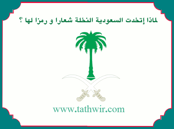 شعار السعودية النخلة