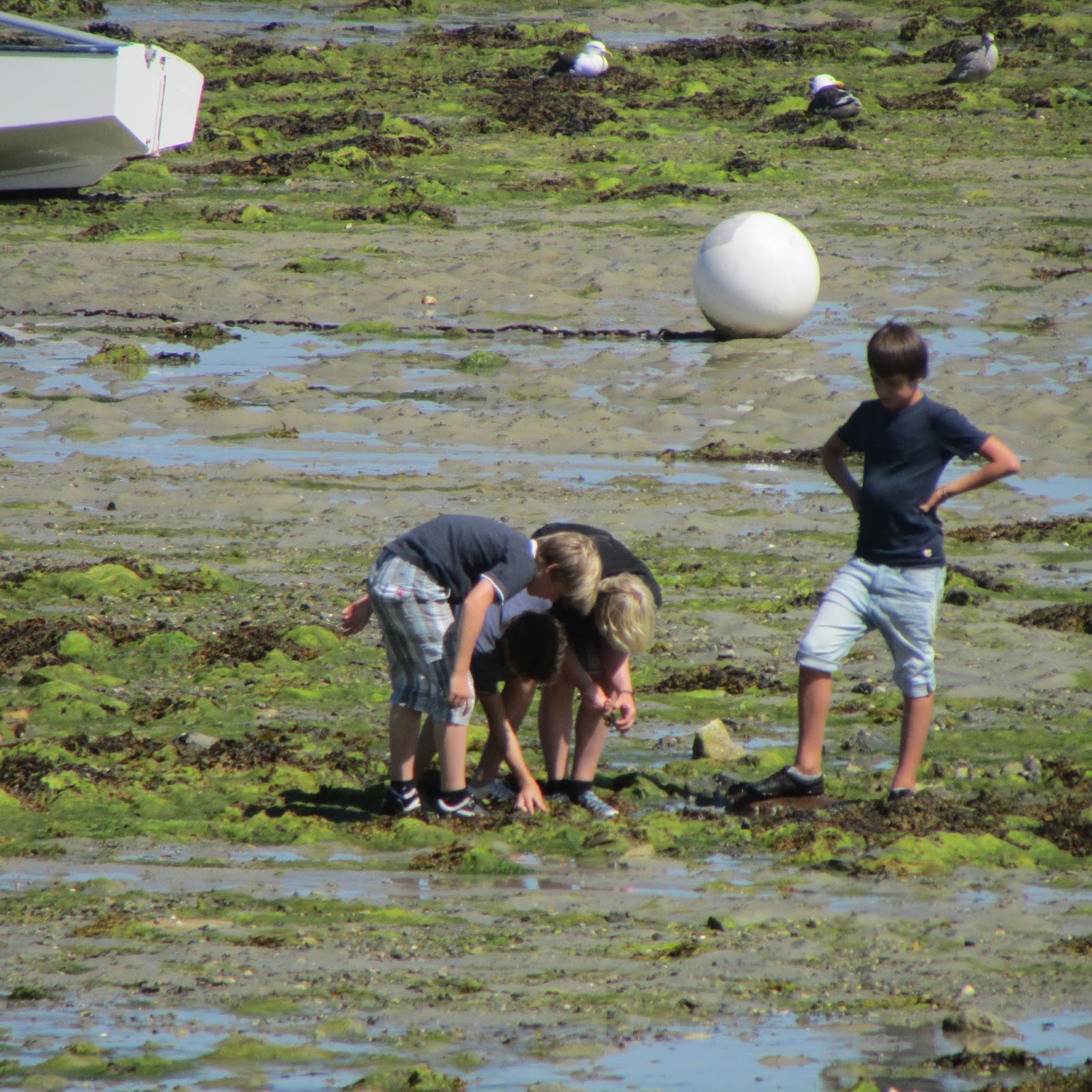 Livingin22 Roscoff Onion and Garlic Festival