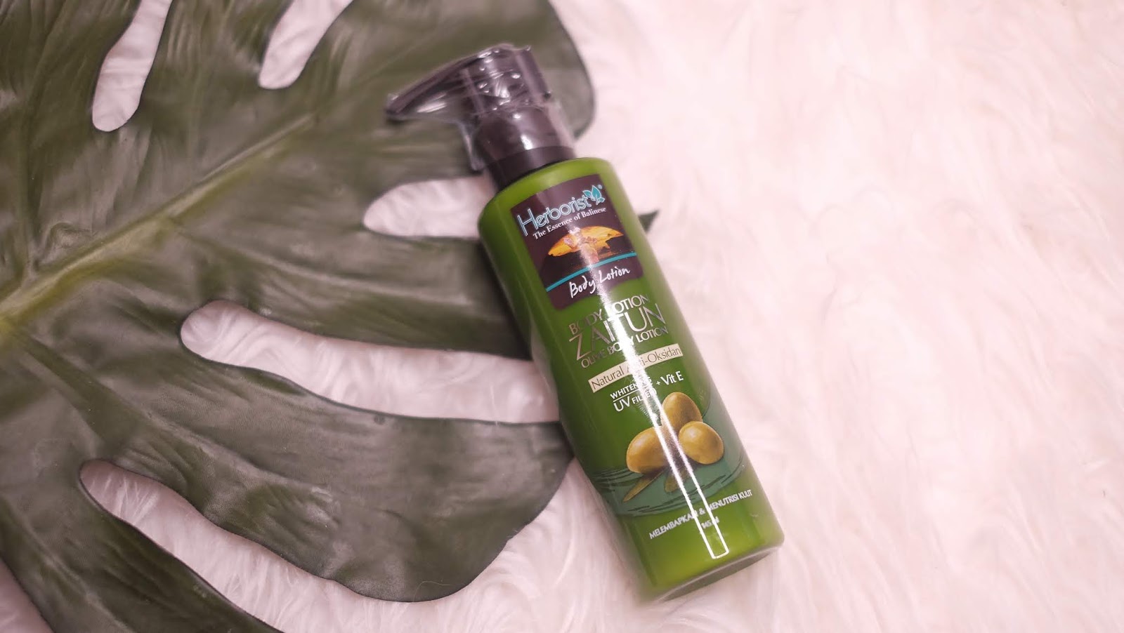 REKOMENDASI BODY LOTION UNTUK KULIT KERING Review Herborist Body Lotion Zaitun Kania Dachlan