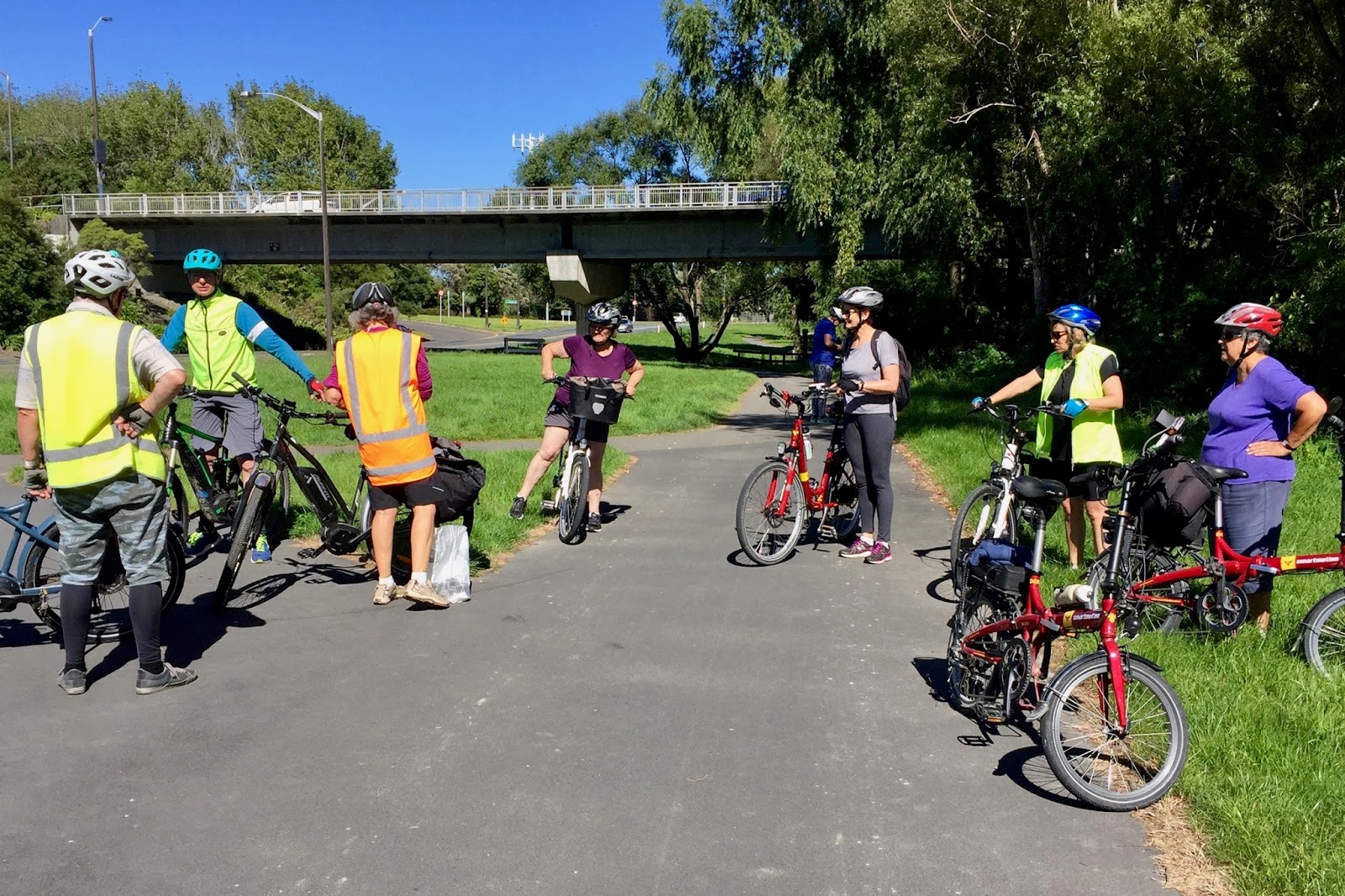 Dizzy's folding bike Ebike group ride to Te Marua