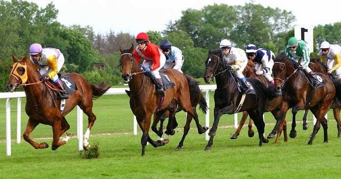At Yarışı Bülteni - TJK Bülten - Yarış Programı | agftablosu.com