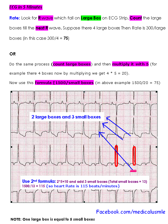 Medicole Medikole Medical World 5 Minutes ECG Rate