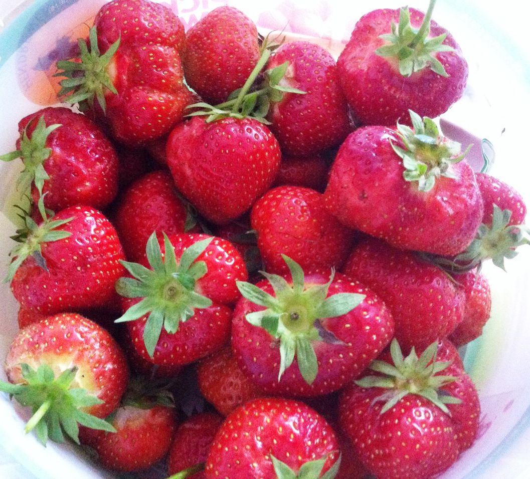 FOOD SCIENCE What is aroma chemicals?