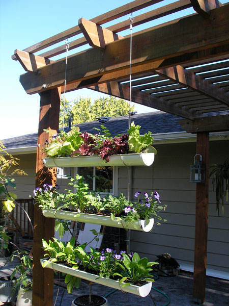 Mighty Distractible: Friday Finds: Gutter Garden