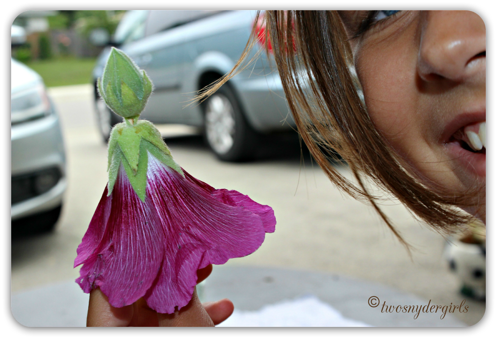making hollyhock fairies