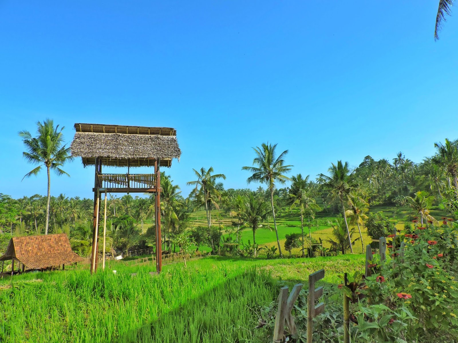 Waroeng Kemarang Rujak Soto Banyuwangi Waroeng Kemarang Rujak Soto Banyuwangi