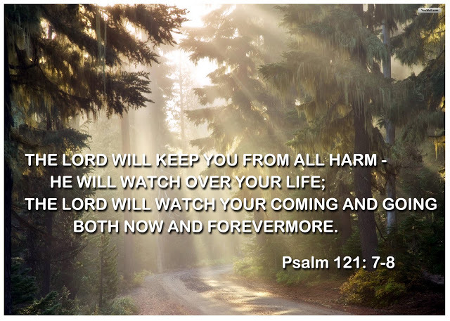 Prayer Pointers Psalm 121 7 8 Divine Preservation prayer-pointers-psalm-121-7-8-divine-preservation