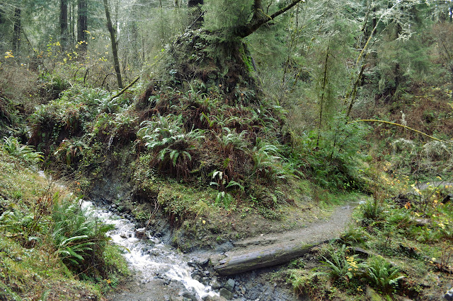 creek crossing