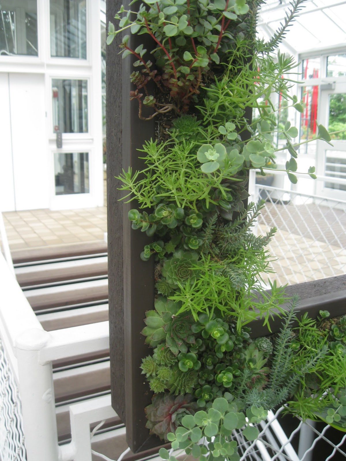 Whimsical Ways Living Frame