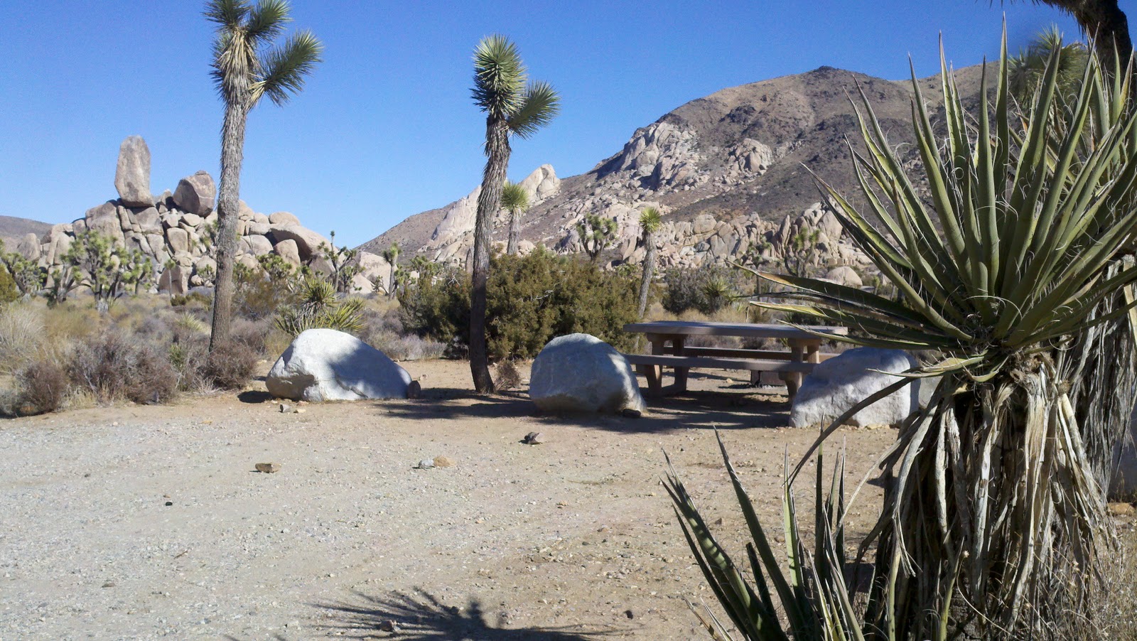 CampgroundCrazy Ryan Campground, Joshua Tree National Park, Twentynine