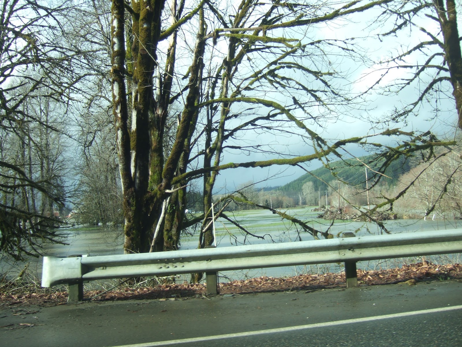 Reading the Washington Landscape Skokomish River Washington State Flood Champion