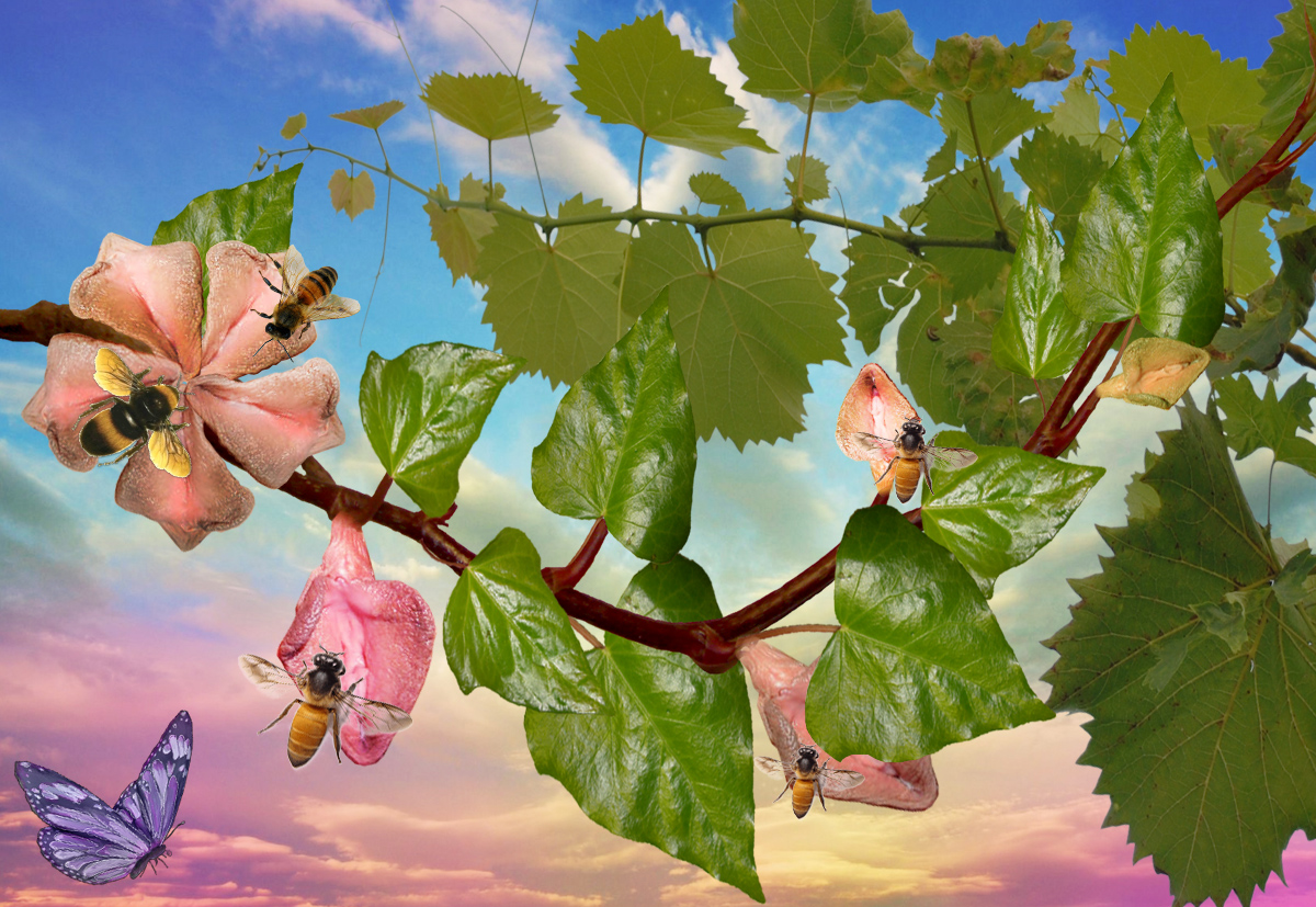 THE BEAUTIFUL PAINTING: Nature and Natural Art