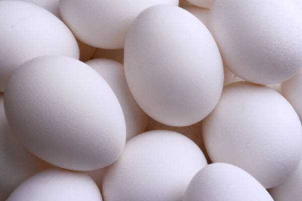 Forum Image: http://2.bp.blogspot.com/-XZMUn0htD4A/TaexYL32zWI/AAAAAAAABfQ/wLaCNkfVX0k/s1600/Chicken-Eggs.jpeg