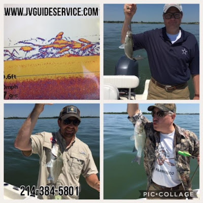 White Bass Fishing Lake Ray Hubbard Fishing Guide