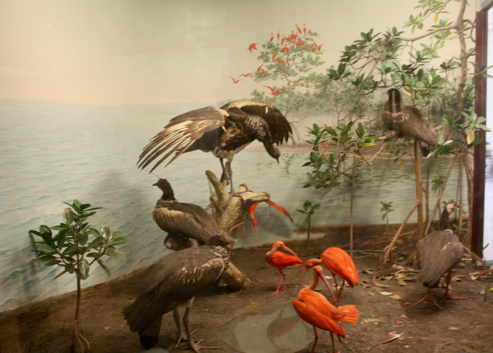 A Little Time and a Keyboard Field Museum Exploration in Chicago